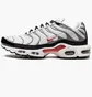 Кросівки чоловічі Nike Air Max Plus White/Grey DM0032-002