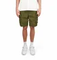 Шорти унісекс The North Face Nse Cargo Short Olive NF0A879RPIB