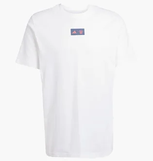 Футболка чоловіча Adidas Fc Bayern 25/26 Seasonal Graphic White JM9446