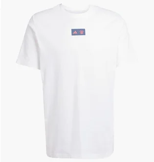 Футболка мужская Adidas Fc Bayern 25/26 Seasonal Graphic White JM9446