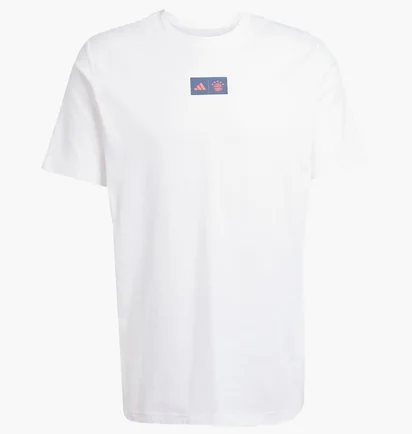 Футболка мужская Adidas Fc Bayern 25/26 Seasonal Graphic White JM9446