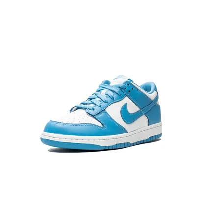 Кросівки дитячі Nike Dunk Low White/Light Blue CW1590-103