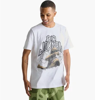 Футболка мужская Air Jordan Sport Dri-Fit Graphic T-Shirt White FN6016-100
