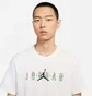 Футболка чоловіча Air Jordan M J Sprt Dna Hbr Ss Crew White CZ8083-100