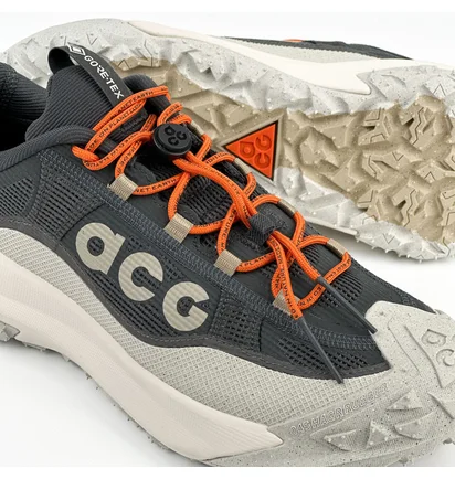 Кроссовки мужские Nike Acg Mountain Fly 2 Low Gore-Tex Grey HF6245-002