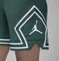 Шорты мужские Air Jordan Dri-Fit Sport Diamond Green DX1487-366