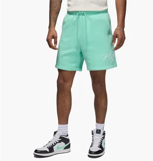 Шорты мужские Air Jordan Essentials Fleece Turquoise FN4535-349