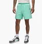 Шорты мужские Air Jordan Essentials Fleece Turquoise FN4535-349