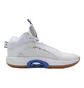 Кроссовки мужские Air Jordan Xxxv Sh White CZ5657-100