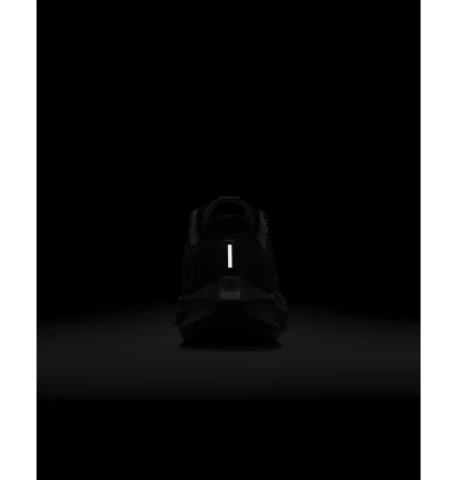 Кроссовки женские Nike Pegasus 40 Black DV3854-003