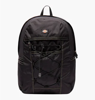Рюкзак унисекс Dickies Ashville Black DK0A4Y33BLK1