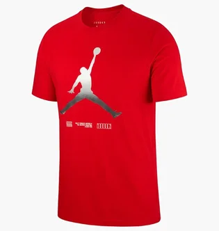 Футболка мужская Air Jordan Legacy A J11 MenS Short-Sleeve T-Shirt Red CW0850-657