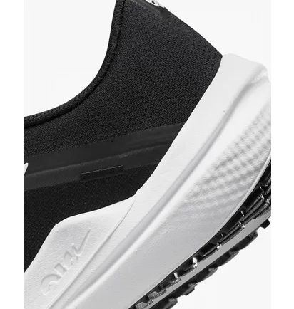 Кроссовки мужские Nike Winflo 10 Black DV4022-003