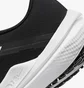 Кроссовки мужские Nike Winflo 10 Black DV4022-003