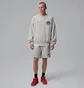 Шорты мужские Nike M J Jumpman Flc Grey IR0335-050
