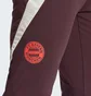 Штаны мужские Adidas Fc Bayern Tiro 24 Training Bordo IS9939