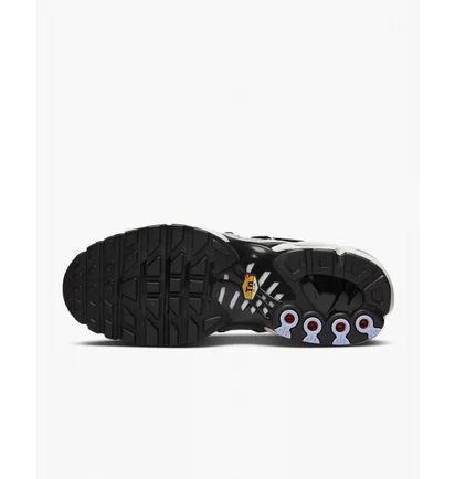 Кросівки жіночі Nike Air Max Plus Grey/Black FD0799-001