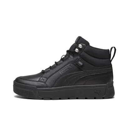 Кроссовки мужские Puma Tarrenz Sb Iii Black 392628-01