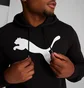 Худи мужское Puma Big Cat Logo Black 672712-01