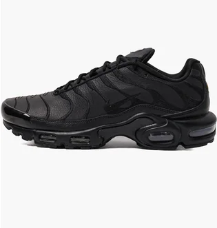 Кроссовки мужские Nike Air Max Plus Black Aj2029-001