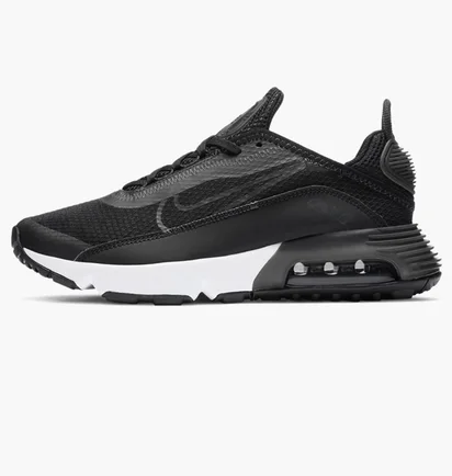 Кросівки дитячі Nike Air Max 2090 Gs Black Dd3236-001