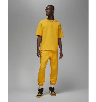 Футболка мужская Air Jordan Wordmark Tee Yellow FJ1969-739