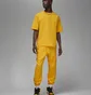 Футболка мужская Air Jordan Wordmark Tee Yellow FJ1969-739