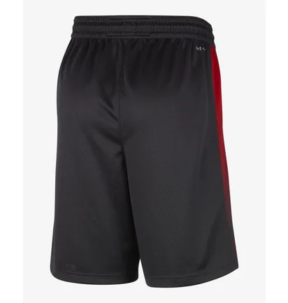 Шорты мужские Nike Dri-Fit Nba Swingman Miami Heat City Edition 2023/24 Black DX8708-010