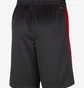 Шорты мужские Nike Dri-Fit Nba Swingman Miami Heat City Edition 2023/24 Black DX8708-010