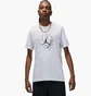 Футболка мужская Air Jordan Dri-Fit Sport Dome Graphic White DX9601-100