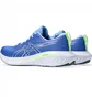 Кроссовки женские Asics Gel Excite 10 Blue 1012B418-403
