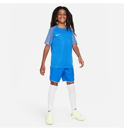 Футболка детская Nike Dri-Fit Academy Blue DH8369-463