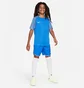 Футболка детская Nike Dri-Fit Academy Blue DH8369-463
