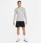 Лонгслив мужской Nike Dri-Fit Wild Card Grey DX0981-063