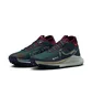 Кросівки жіночі Nike React Pegasus Trail 4 Gtx Green DJ7929-302
