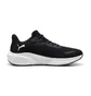 Кросівки чоловічі Puma Skyrocket Lite Black 379437-01