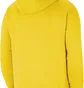 Худі чоловіче Nike Hooded Sweatshirt M Nk Flc Park20 Po Hoodie Yellow CW6894-719