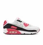 Кросівки жіночі Nike Air Max 90 Aster Pink White DH8010-105