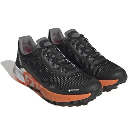 Кросівки чоловічі Adidas Terrex Agravic Flow 2 Gtx Black HR1110