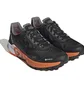 Кросівки чоловічі Adidas Terrex Agravic Flow 2 Gtx Black HR1110