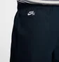Штани унісекс Nike Double-Knee Twill Skate Blue FV7349-478