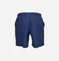 Шорты мужские Nike Essential 7 Blue NESSF559-440