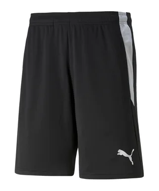 Шорты мужские Puma Teamliga Referee Shorts Black 705453-03