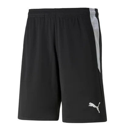 Шорты мужские Puma Teamliga Referee Shorts Black 705453-03