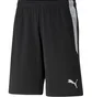Шорты мужские Puma Teamliga Referee Shorts Black 705453-03