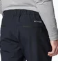 Штаны мужские Columbia Tech Softshell Pant Black AX1200-010