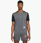Футболка чоловіча Nike Dri-Fit Rise 365 Grey DM4646-010