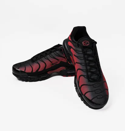 Кросівки чоловічі Nike Air Max Plus Black DZ4507-600