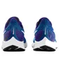 Кросівки дитячі Nike Air Zoom Pegasus 35 Younger Blue AH3482-404