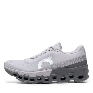 Кросівки жіночі On Cloudmonster 2 Grey 3WE10112564